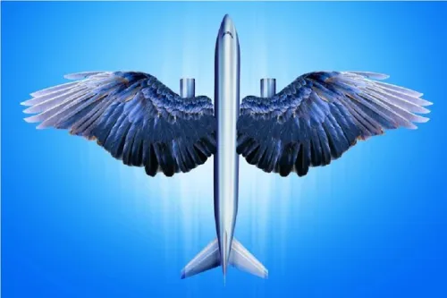 برجسته ترین تقلیدهای دنیای علم و فناوری از طبیعت در سال ۲۰۲۵