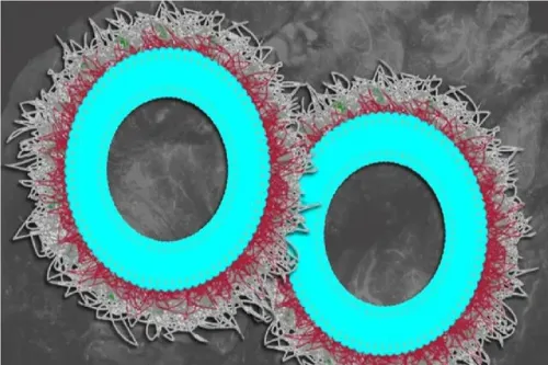 نسل تازه ای از نانوذرات هوشمند برای نابودی پروتئین های مرگ آور