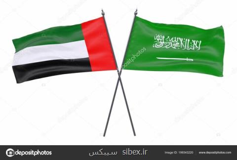 امارات و عربستان به دنبال عرضه یك ارز دیجیتال مشترك