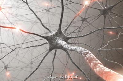 تأثیر امواج آنتن های مخابراتی بر سرطان ثابت نشده است