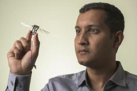 پهپاد زنبور عسل از دشوارترین موانع عبور می كند